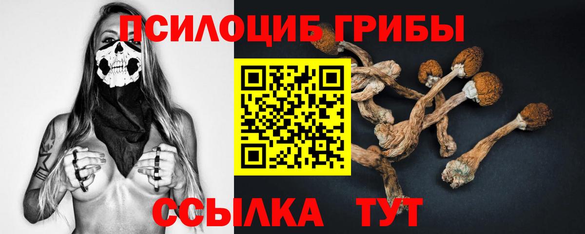 Шадринск  Галлюциногенные грибы MAGIC MUSHROOMS  Вход с VPN 